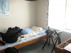 my sleeping room